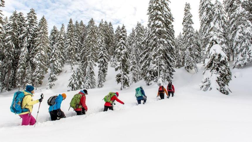 Appartmenthaus Birkenwald Seefeld in Tirol Exterior foto